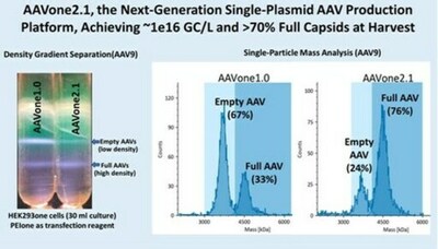 AAVnerGene社、次世代単一プラスミドAAV生産プラットフォーム「AAVone（R）2.1」を発表 ～収穫時に約1e16 GC/Lおよび70%以上の完全キャプシドを達成