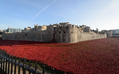 ロンドン塔囲むポピーの絨毯、第1次大戦参戦100年の記念アート