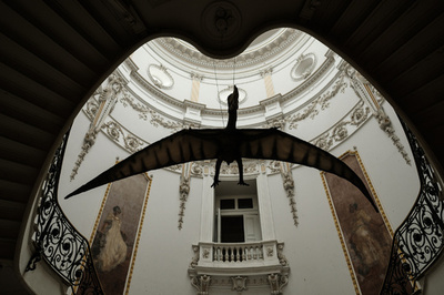 最古級の翼竜、2億年前の新種化石を米ユタ州で発見 論文