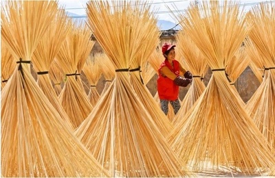 中国の竹産業、世界のグリーン発展を推進