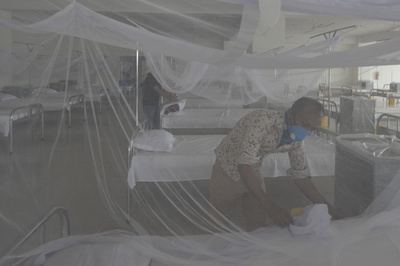 新型コロナ、蚊は媒介できない 伊研究で判明