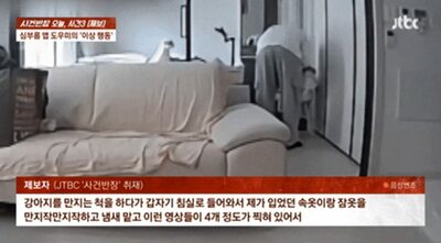 「一瞬の過ち」では済まされない…韓国・ホームカメラが捉えた“犬の世話代行”男性の犯行
