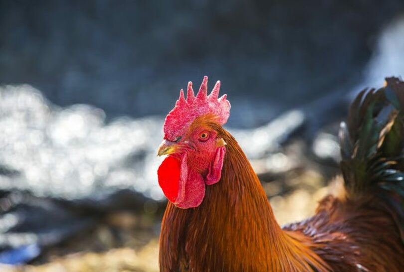 gettyimagesBank(c)MONEYTODAY