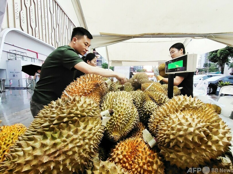 ドリアンが値下がり、今後さらに安くなる可能性も 中国