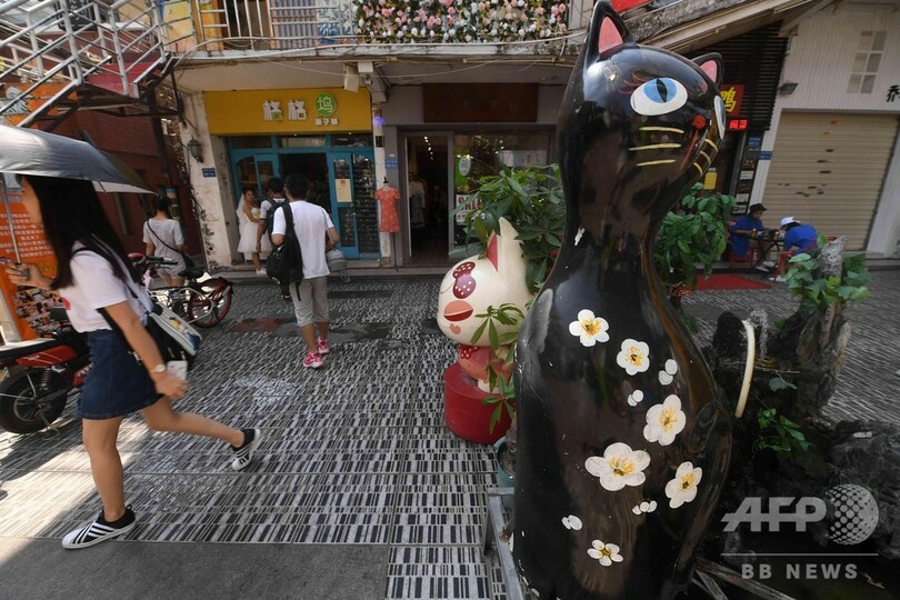 アモイの「猫街」へいらっしゃい