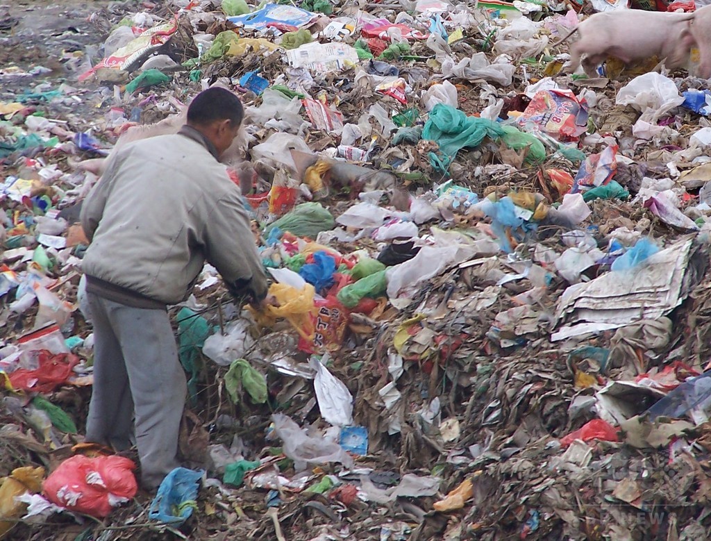 海中に漂うプラスチックはプランクトンの半分に匹敵 「海を殺すことは自分を殺すこと」 海中に漂うプラスチックはプランクトンの半分に匹敵 「海を殺すことは自分を殺すこと」