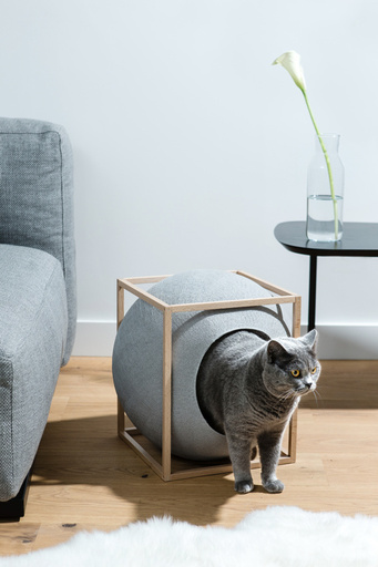 パリ発「MEYOU」日本初上陸、おしゃれなキャットハウス 写真20枚 国際