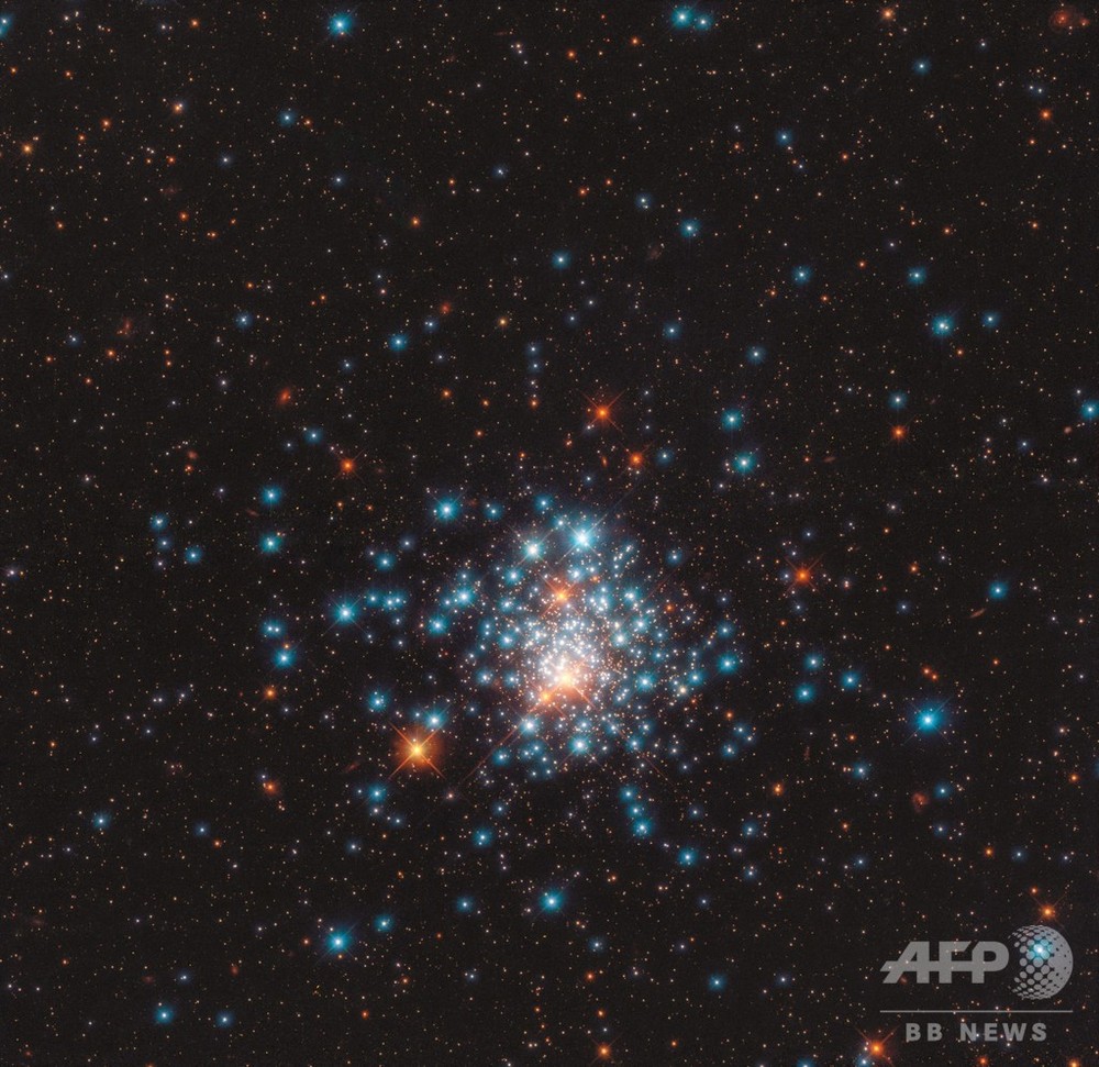 カラフルな球状星団、ミツバチ群がるように互いを周回 写真1枚 国際ニュース:AFPBB News