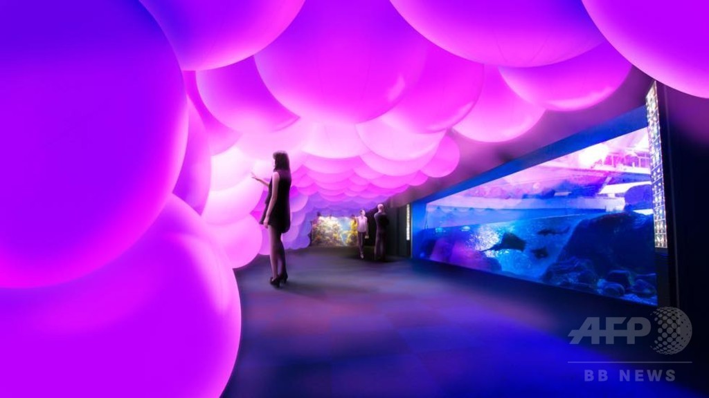 「えのすい×チームラボ ナイトワンダーアクアリウム2015」、18日から