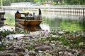 タイの首都バンコクの運河で、ごみを拾う作業員（2020年6月9日撮影）。(c)Lillian SUWANRUMPHA / AFP