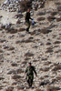 パレスチナ自治区ヨルダン川西岸（West Bank）のヘブロン（Hebron）近郊で、墜落したイスラエル空軍戦闘機に搭乗していたアッサフ・ラモン（Assaf Ramon）氏の遺体収容作業を行うイスラエル軍兵士（2009年9月13日撮影）。(c)AFP/TESS SHEFLAN