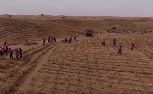 中国内蒙古 黄河沿いの「砂漠化防止・太陽光発電」プロジェクトが着工