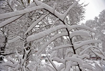 寒波到来、雪景色のインド