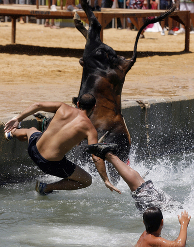 豪快に海へどぼん、港町デニアの牛追い スペイン