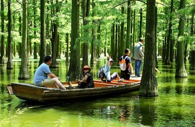 水上の森林 武漢 