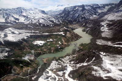 ロシアで脱走兵拘束、森での逃亡生活10年