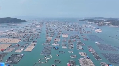 養殖魚4.5万匹 夏場に中国海南省から福建省へ移動