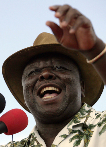 ジンバブエ大統領選、野党が勝利宣言