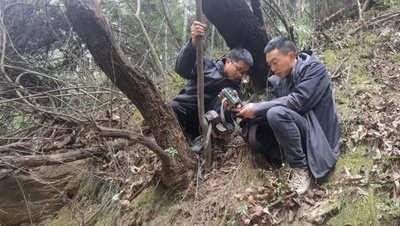 「パンダにばったり出合う村」 野生パンダと共生 中国・四川省