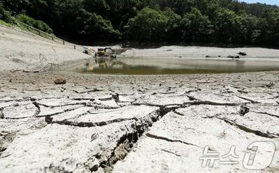 韓国・慶尚南道梁山で41.6度を記録…猛暑続き熱中症患者は累計1781人