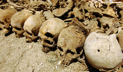 旧ソ連侵攻の名残、地下牢から大量の遺骨