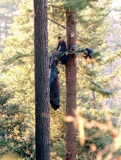 米「エコテロリスト」に禁固19年、政府施設の攻撃を計画