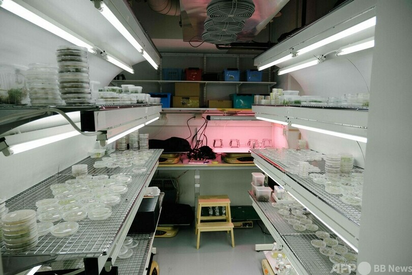 コーヒーも細胞培養で「持続可能」に フィンランドで開発