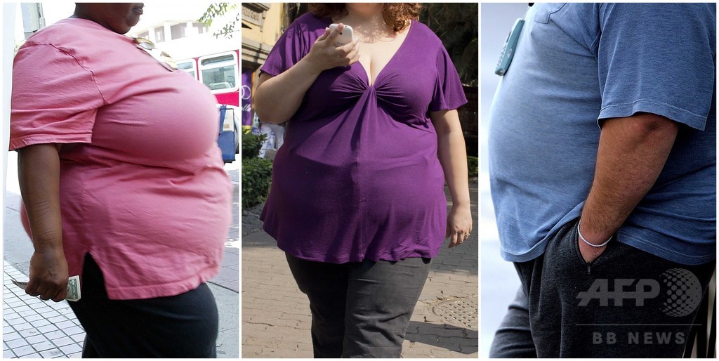 ダイエット、低脂肪も低炭水化物も大差なし 米研究 ダイエット、低脂肪も低炭水化物も大差なし 米研究