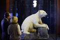 ドイツ首都ベルリン（Berlin)の自然史博物館（Museum of Natural History in Berlin）で公開されたホッキョクグマ「クヌート（Knut)」の標本（2013年2月15日撮影）。(c)AFP/JOHN MACDOUGALL