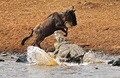 (c)AFP/CARL DE SOUZA