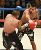 ボクシング、WBA世界スーパーフェザー級タイトルマッチ12回戦。イスラエル・ペレス（Israel Perez、左）と対戦する内山高志（Takashi Uchiyama、2014年12月31日撮影）。(c)AFP/Toru YAMANAKA