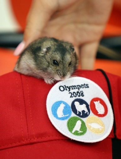 ペットの五輪「オリンペッツ」、香港で開催中