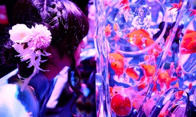 金魚が織りなす幻想的な世界、「アートアクアリウム」 日本橋