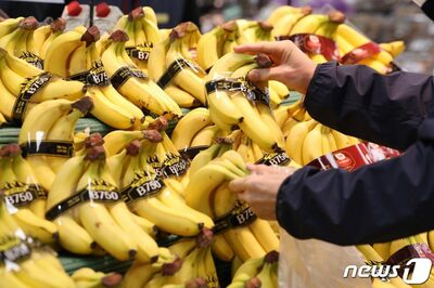 韓国政府、バナナ・オレンジ1700トン直輸入、市場に供給…果物類の物価安定狙い