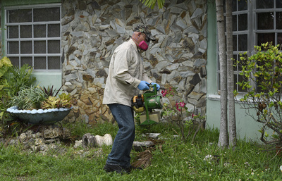 米加州、ジカ感染女性2人が小頭症の新生児を出産
