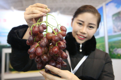 北京市がチベット、新疆などへ50億元援助 貧困削減事業で