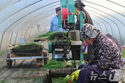 韓国の外国人労働者、37％が月収300万ウォン以上…約3割は中国系韓国人