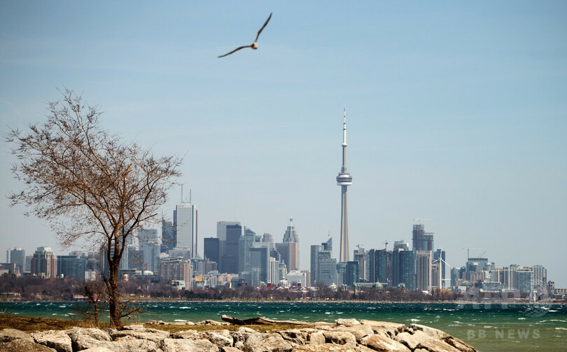 元カノと同姓同名のパートナー、愛は芽生えず世界旅行から帰国