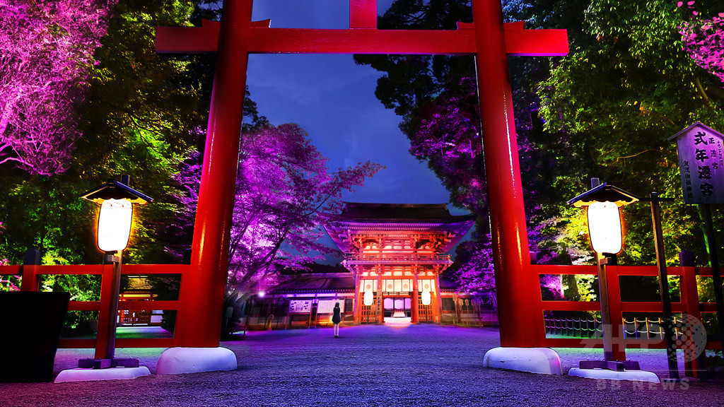 「チームラボ」京都・下鴨神社を光アートでライトアップ