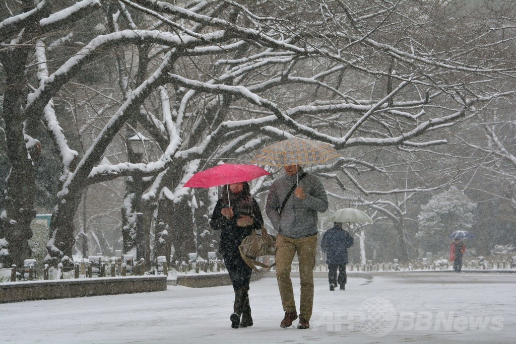 東京などに大雪警報、23区では13年ぶり 各地で交通の乱れ