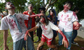 インドネシアの首都ジャカルタ（Jakarta）で27日、インドネシア・ゾンビ・クラブ（Indonesian Zombie Club、IZOC）のメンバー数百人がゾンビ姿で市内を行進した。ジャカルタは今月中旬に洪水に見舞われたことから、ゾンビ行進は洪水後の市内清掃の呼び掛けと被災者への募金を目的に企画された（2013年1月27日撮影）。(c)AFP/ADEK BERRY