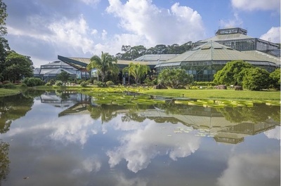 中国2か所目の国家植物園が広東省で開園