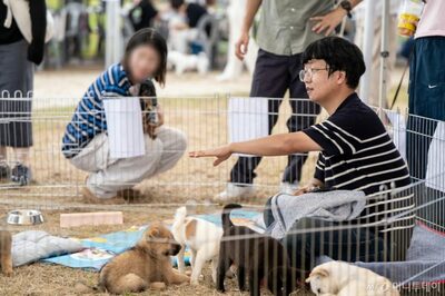 制度も市民も動かした6年…韓国動物福祉大賞に輝いた“名もなき改革者”の挑戦