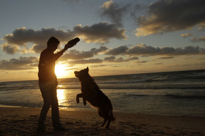 夕暮れの浜辺を楽しむ人たち、パレスチナ自治区