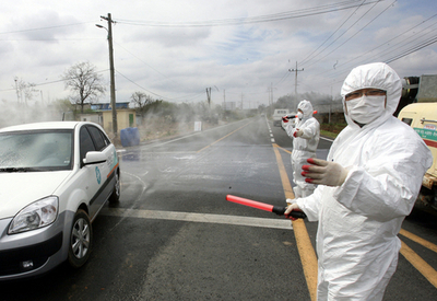 韓国で新たに鳥インフルの感染確認、今月9件目