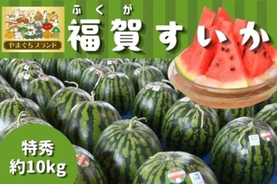 １株１果どりで旨み凝縮！やまぐちブランド登録の「福賀すいか」をＪＡタウン「正直やまぐち」で販売中！