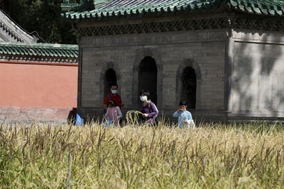 【文化中国】中国の「農耕文明」を今に伝える皇帝の「1ムー3分」の畑