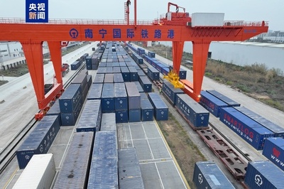 中国広西チワン族自治区発の中越定期貨物列車  1月の出荷貨物量は前年同期比760%増
