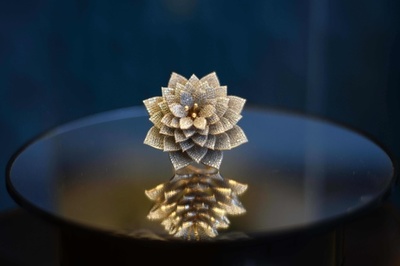 指輪にダイヤ7801個! ギネス記録に認定