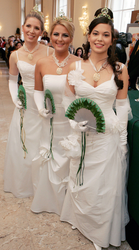 名物イベント オペラ座舞踏会の会見が行われる - オーストリア